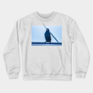 Bird in Calabash Crewneck Sweatshirt